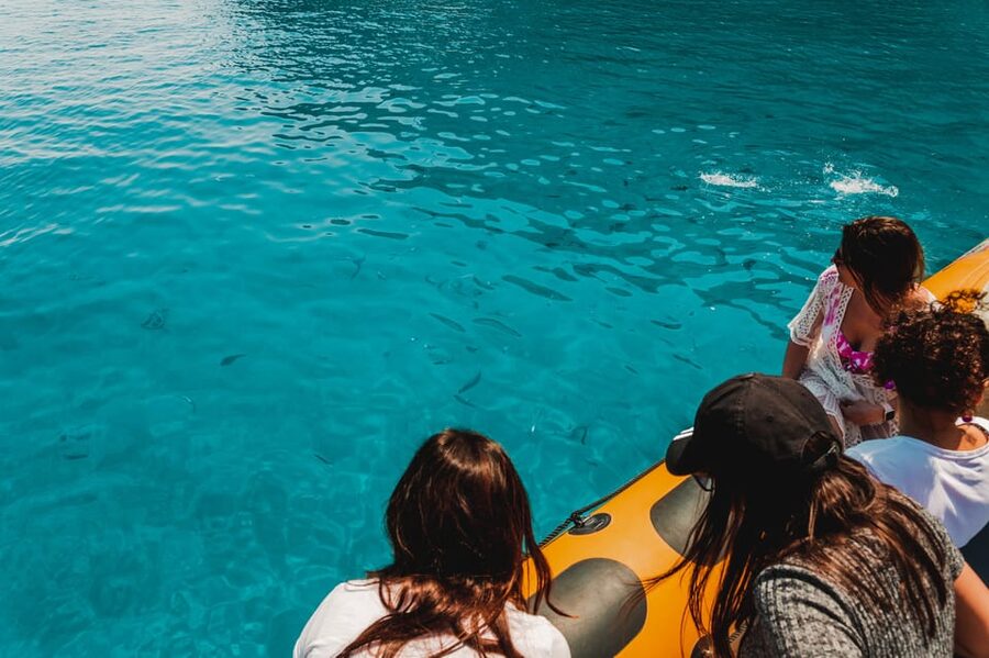 From Can Picafort: Dolphin Watching and Cave Boat Trip - Why this Can Picafort boat trip is worth considering