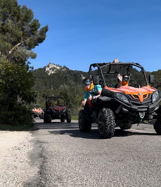 From East Mallorca: Guided Beach and Mountain Buggy Tour - Who will enjoy this East Mallorca tour most