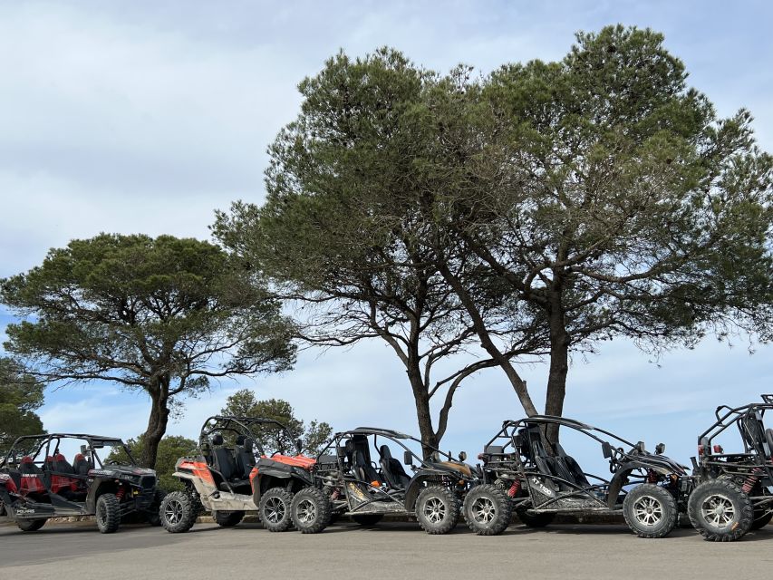 From East Mallorca: Guided Beach and Mountain Buggy Tour - What the $219 group price really covers