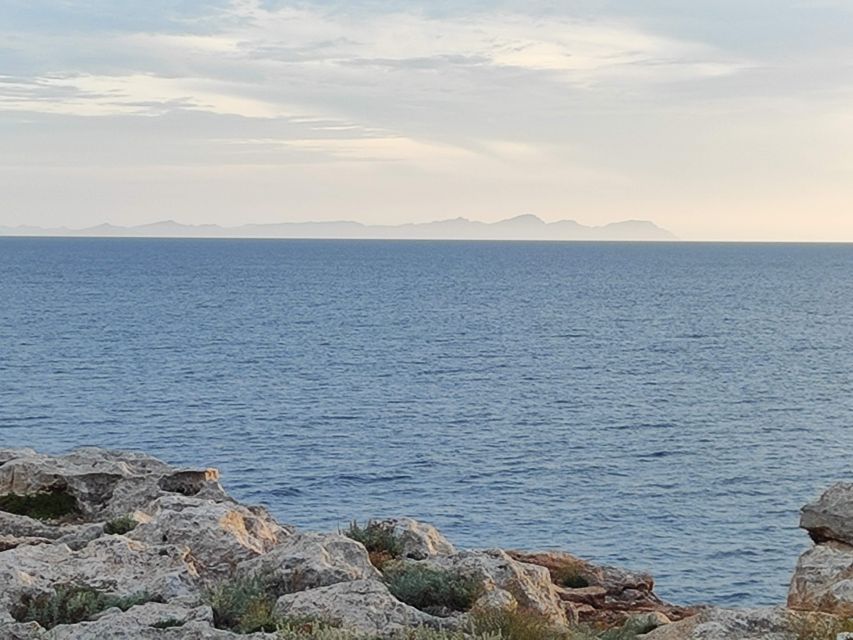 From Mallorca: Guided Day Trip to Menorca - The guide makes a real difference
