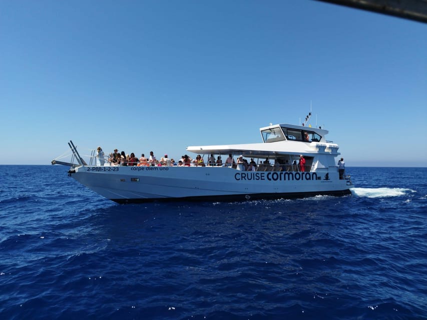 From Palma: 3-Hour Morning Dolphin Watching Boat Tour - Setting sail from Palma at 10:30