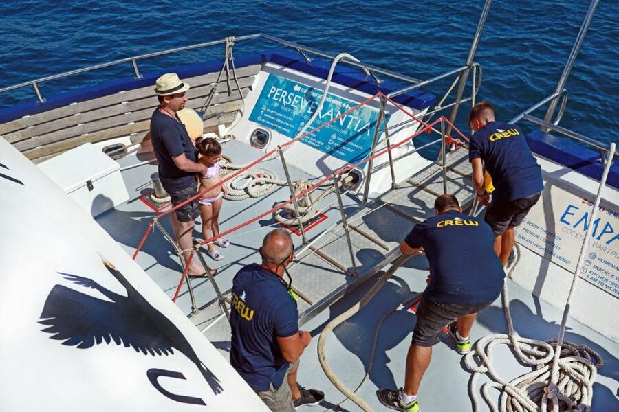 From Palma: 3-Hour Morning Dolphin Watching Boat Tour - Shade, drinks, toilets, and the small practical details