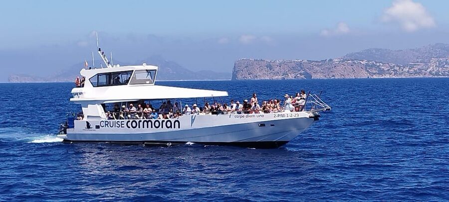 From Palma: Afternoon Dolphin-Watching Boat Tour - Starting in Palma at 13:45