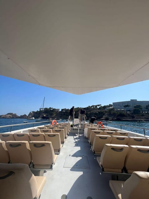 From Palma: Afternoon Dolphin-Watching Boat Tour - What the boat and crew are really like