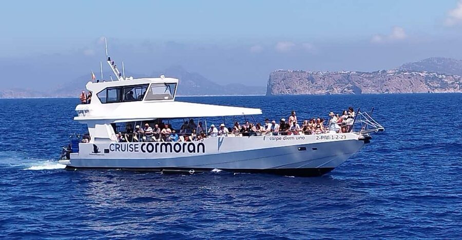 From Palma: Afternoon Dolphin-Watching Boat Tour - From Palma Bay to the dolphin grounds