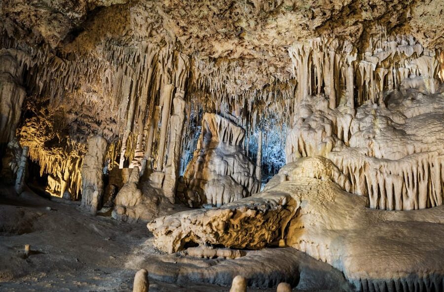 From Palma de Mallorca: Dinosaurland tour - Accessibility and practical limits