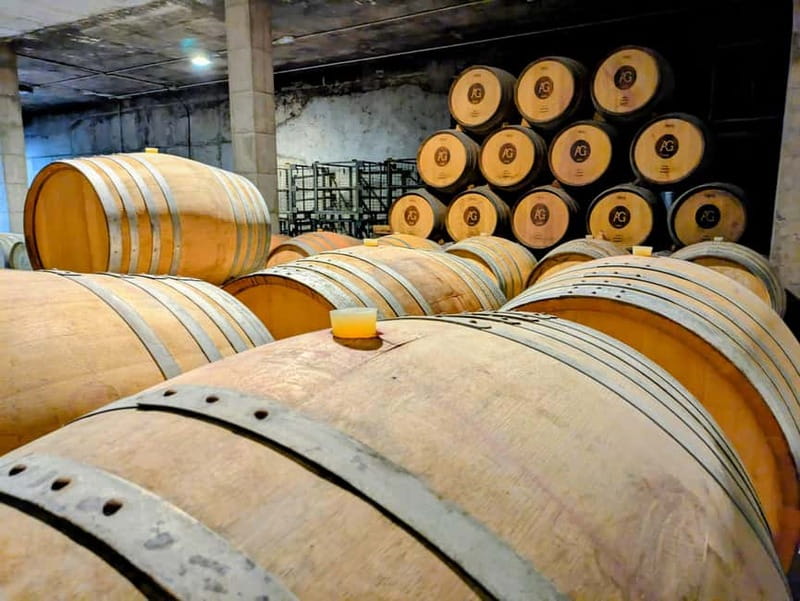From Palma de Mallorca: Private Wine and Local Flavors Tour - Key points at a glance