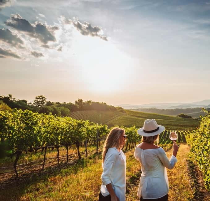 From Palma de Mallorca: Private Wine and Local Flavors Tour - Four Mallorcan wines and light local pairings