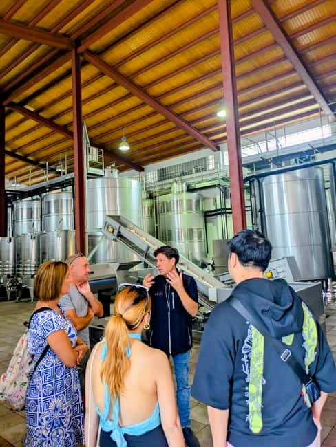 From Palma de Mallorca: Private Wine and Local Flavors Tour - Should you book it?