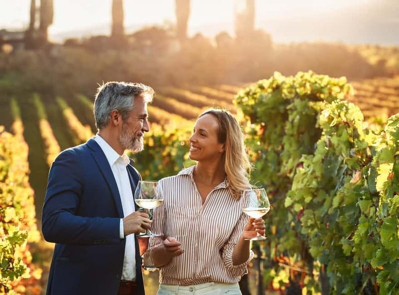 From Palma de Mallorca: Private Wine and Local Flavors Tour - A historic winery with modern working methods