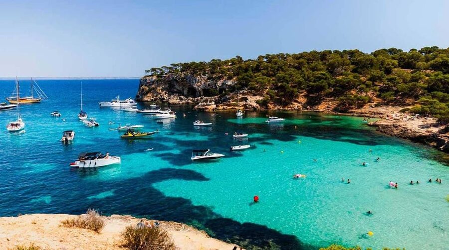 From Palma: Portal Vells Beach and Cave SUP & Snorkel Tour - Key points at a glance