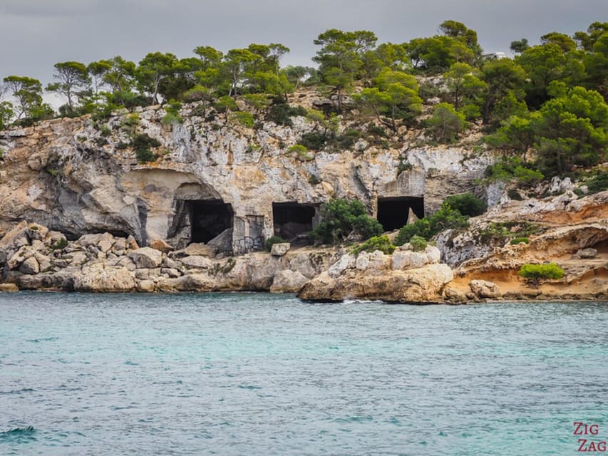 From Palma: Portal Vells Beach and Cave SUP & Snorkel Tour - Practical tips for a smoother day