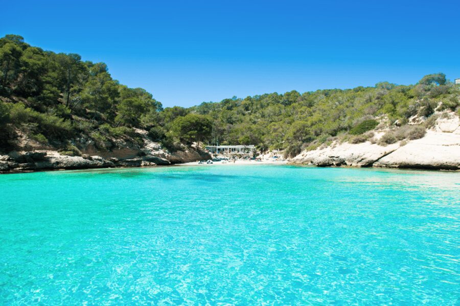From Palma: Portal Vells Beach and Cave SUP & Snorkel Tour - The van ride from Palma and the resort areas