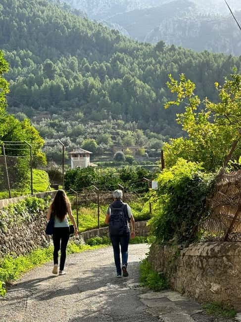 From Palma: Sierra de Tramuntana Hiking with small Picnic - Key points at a glance