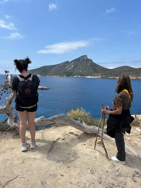 From Palma: Sierra de Tramuntana Hiking with small Picnic - What the guide adds to the scenery