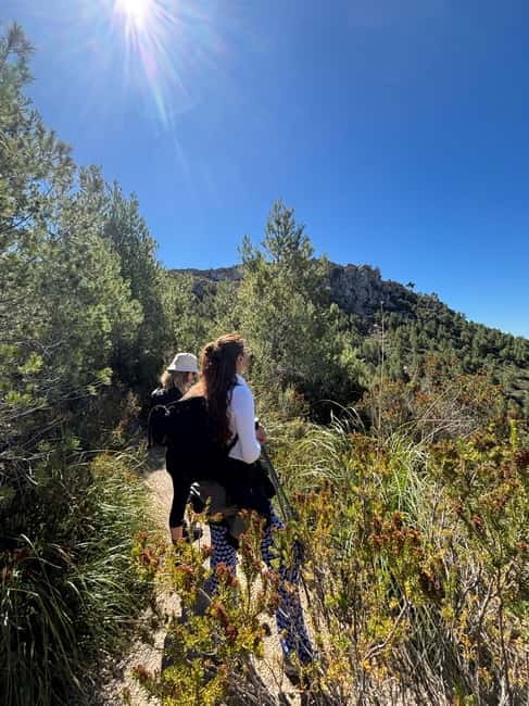 From Palma: Sierra de Tramuntana Hiking with small Picnic - Is $93 a fair price?