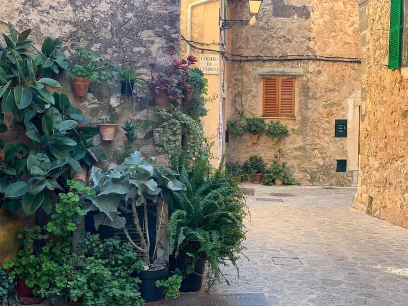 From Palma: Valldemossa Tour and Mountain Viewpoint Hike - From Plaza España to the Tramuntana hills