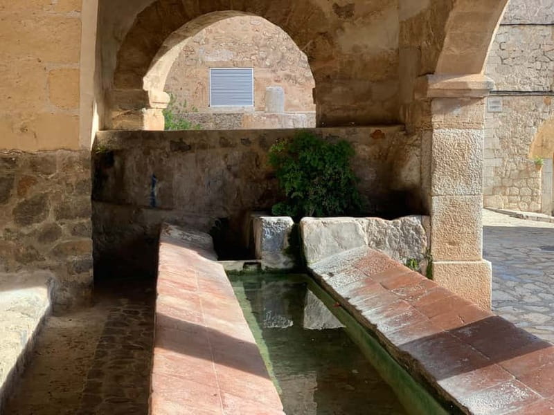 From Palma: Valldemossa Tour and Mountain Viewpoint Hike - What the $105 price really covers