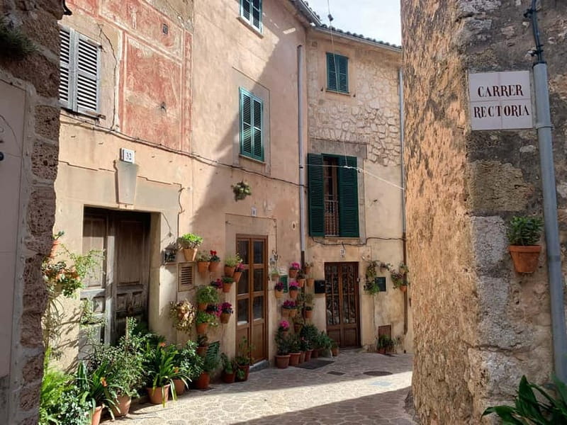 From Palma: Valldemossa Tour and Mountain Viewpoint Hike - Best seasons and weather choices