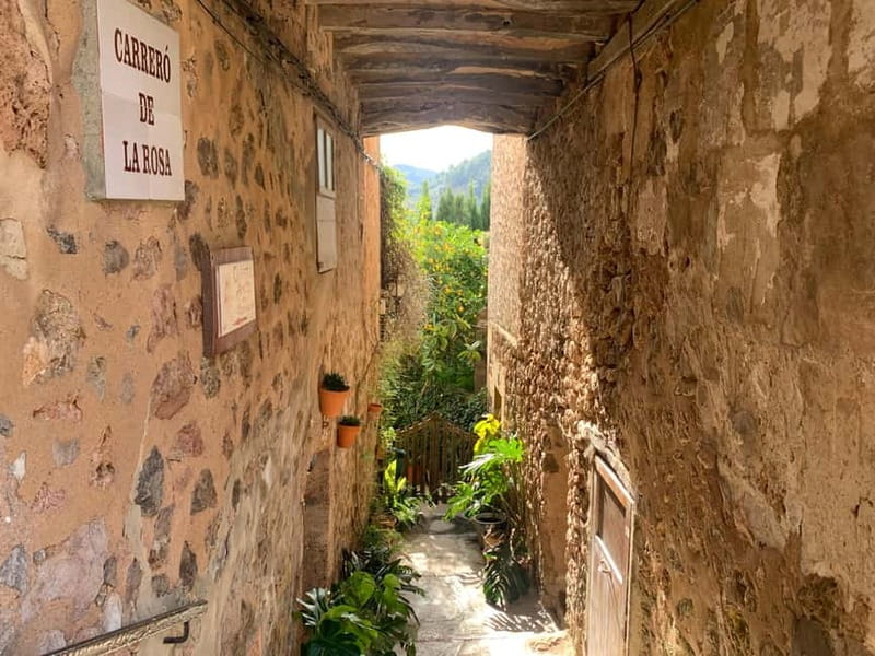 From Palma: Valldemossa Tour and Mountain Viewpoint Hike - Who will enjoy it most