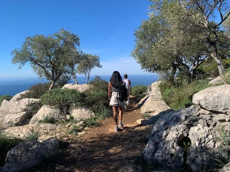 From Palma: Valldemossa Tour and Mountain Viewpoint Hike - Four viewpoints on an easy mountain walk