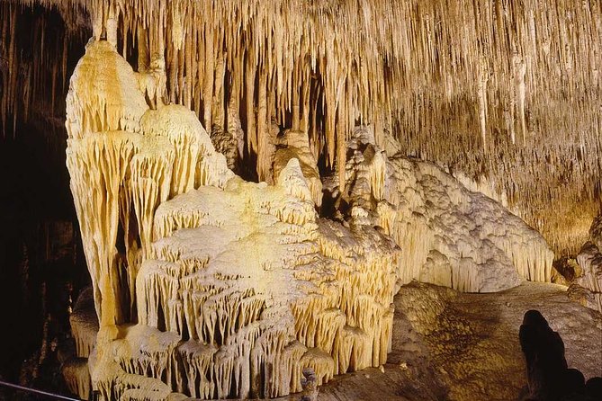 Full-Day Mallorca Caves Tour: Drach, Hams & Pearl Factory Visit - The guide and the four-language format