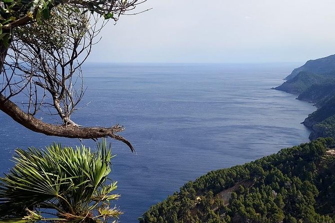 Full-Day Mallorca Caves Tour: Drach, Hams & Pearl Factory Visit - The real cost of group transport