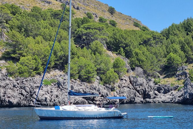 Full-day sailing excursion along the coast - Should you book this Mallorca sailing day?