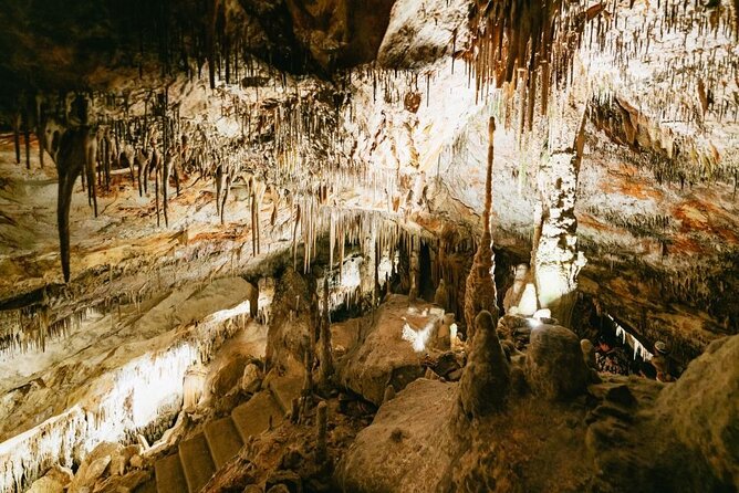 Full-day Tour to Drach Caves and Portocristo Town - Who should book this Mallorca day trip?