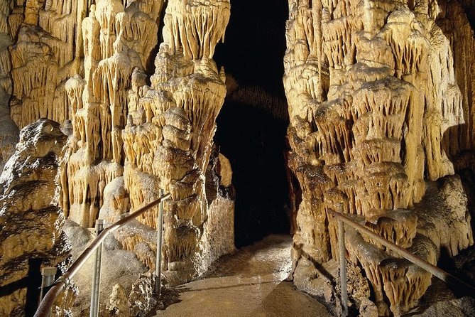 Full day tour to the Caves of Drach and Caves of Hams in Mallorca - What the $82.26 price really includes
