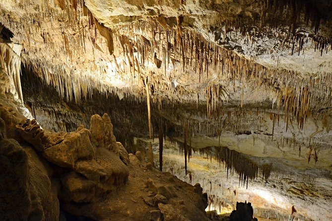 Full day tour to the Caves of Drach and Caves of Hams in Mallorca - Who will enjoy this cave excursion most