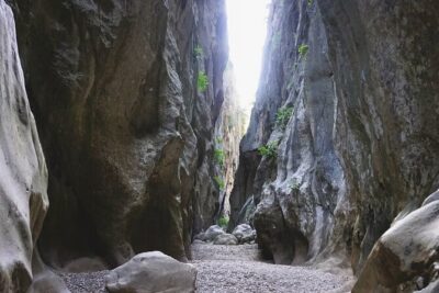 Full Day Tour to the Island of Mallorca