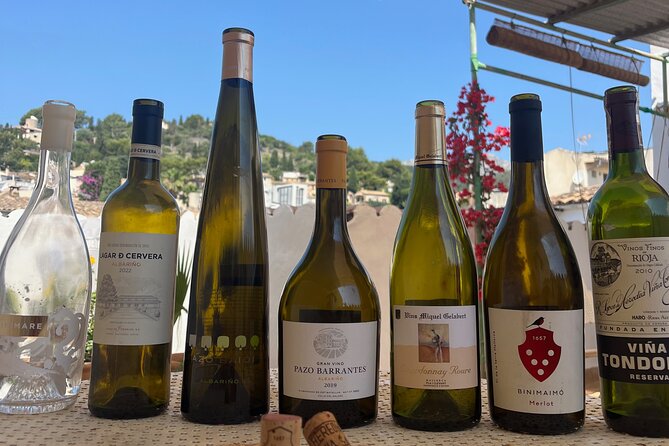 Gastronomic Wine Tasting Experience Guided by a Sommelier - Sven’s Teaching Style