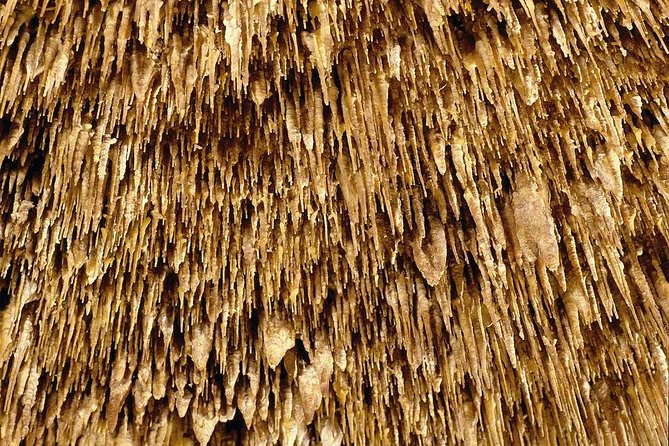 Guided Full-Day Tour of Drach Caves, Porto Cristo & Pearl Factory - What really happens at Perlart