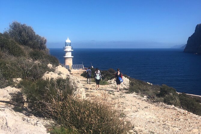 Guided Kayak & Hike from Sant Elm to Sa Dragonera - Paddling across clear water to Sa Dragonera
