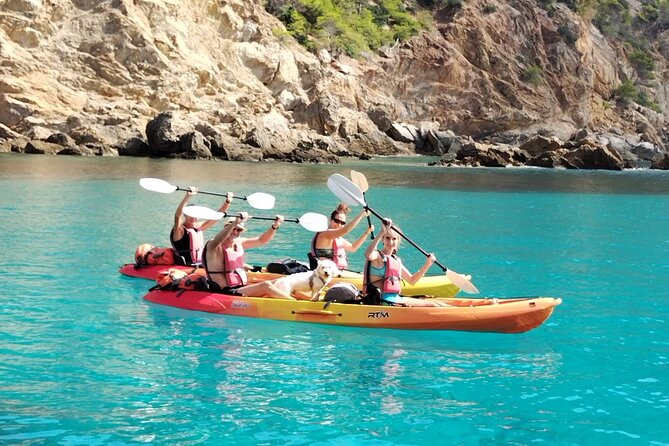 Guided Kayak Tour from Sant Elm to Sa Dragonera - The swimming stop adds a welcome change of pace