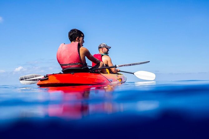 Guided Kayak Tour from Sant Elm to Sa Dragonera - Timing, weather, and the return to Sant Elm