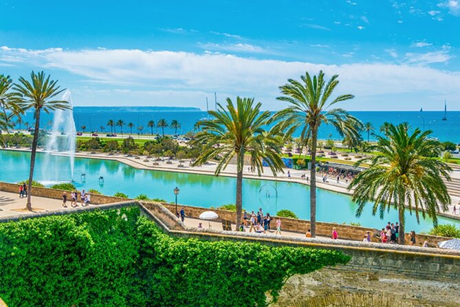 Guided Route through Palma with Cathedral and visit to Valldemossa (4H) - What the $40.72 price delivers