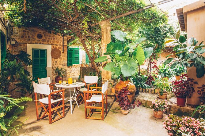 Guided Tasting Tour in 16th century House and Olive Oil Factory - What the one-hour format gets right