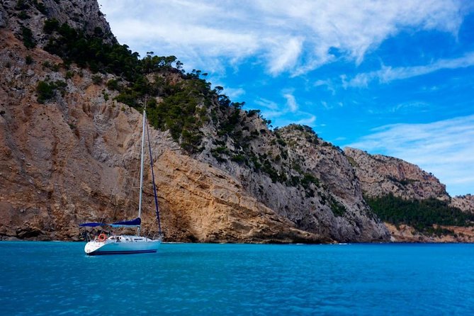 Half Day Sailing Excursion along the Coast - Cala Tuent and the value of having choices