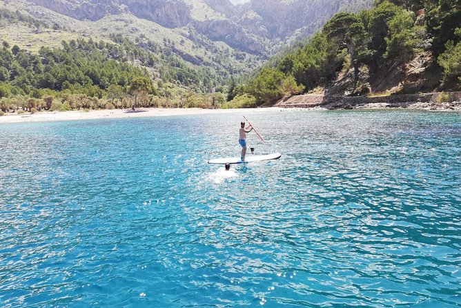 Half Day Sailing Excursion along the Coast - What to bring and how to plan your time