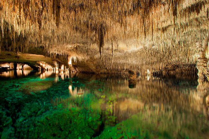 Half Day Tour Bus to the Caves of Drach - Key points to know before you book