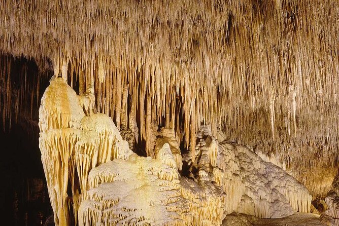 Half Day Tour Bus to the Caves of Drach - Is $60.01 a fair price?