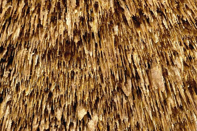 Half Day Tour Bus to the Caves of Drach - Who will enjoy this Mallorca excursion