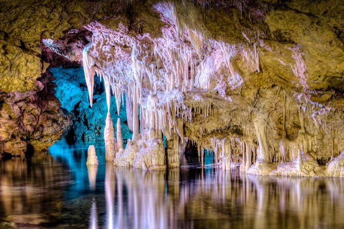 Half Day Tour to Dinosaur Land in Mallorca - Dinosaurland gives the half-day its roar