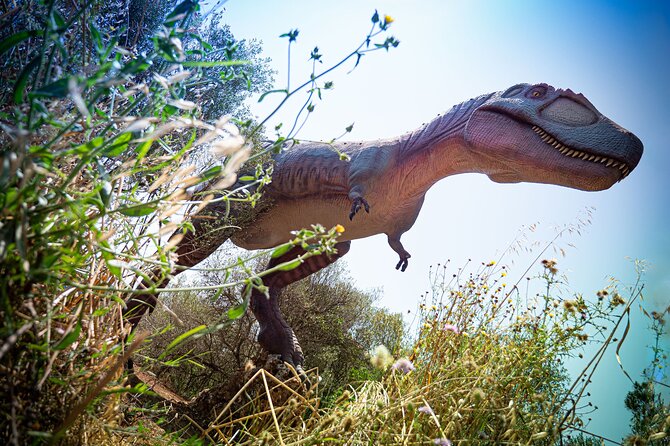 Half Day Tour to Dinosaur Land in Mallorca - Who will enjoy this tour most?