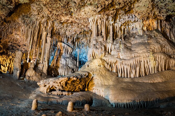 Half Day Tour to Dinosaur Land in Mallorca - Should you book the Dinosaurland and Caves of Hams tour?