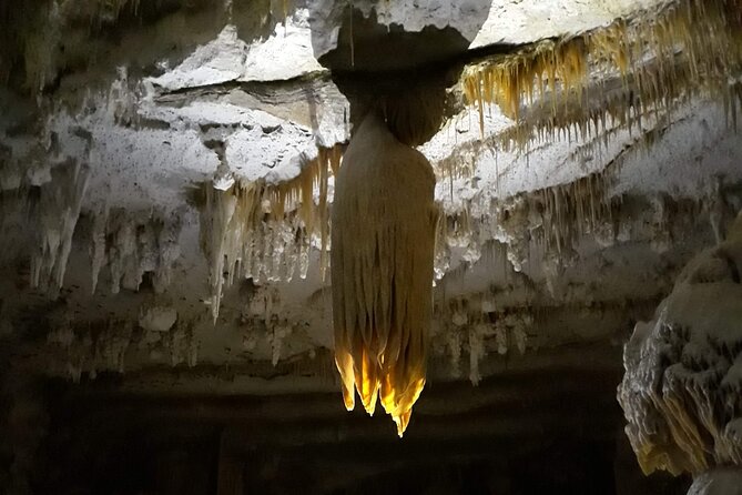 Hidden Mallorca: Sea Caving Adventure - Booking, cancellation, and practical planning