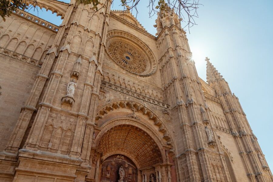 Highlights & Hidden Gems of Palma de Mallorca Private Tour - What the local guide adds