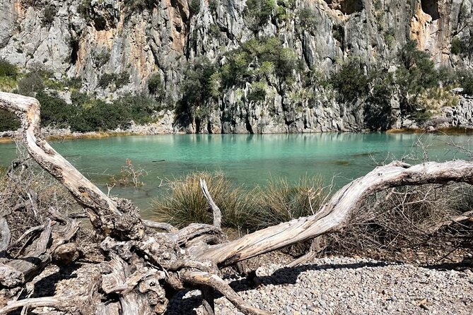 Hike the canyon of Torrent de Pareís - Key points to know before booking